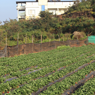 Exterior View Ivy Park Panchgani